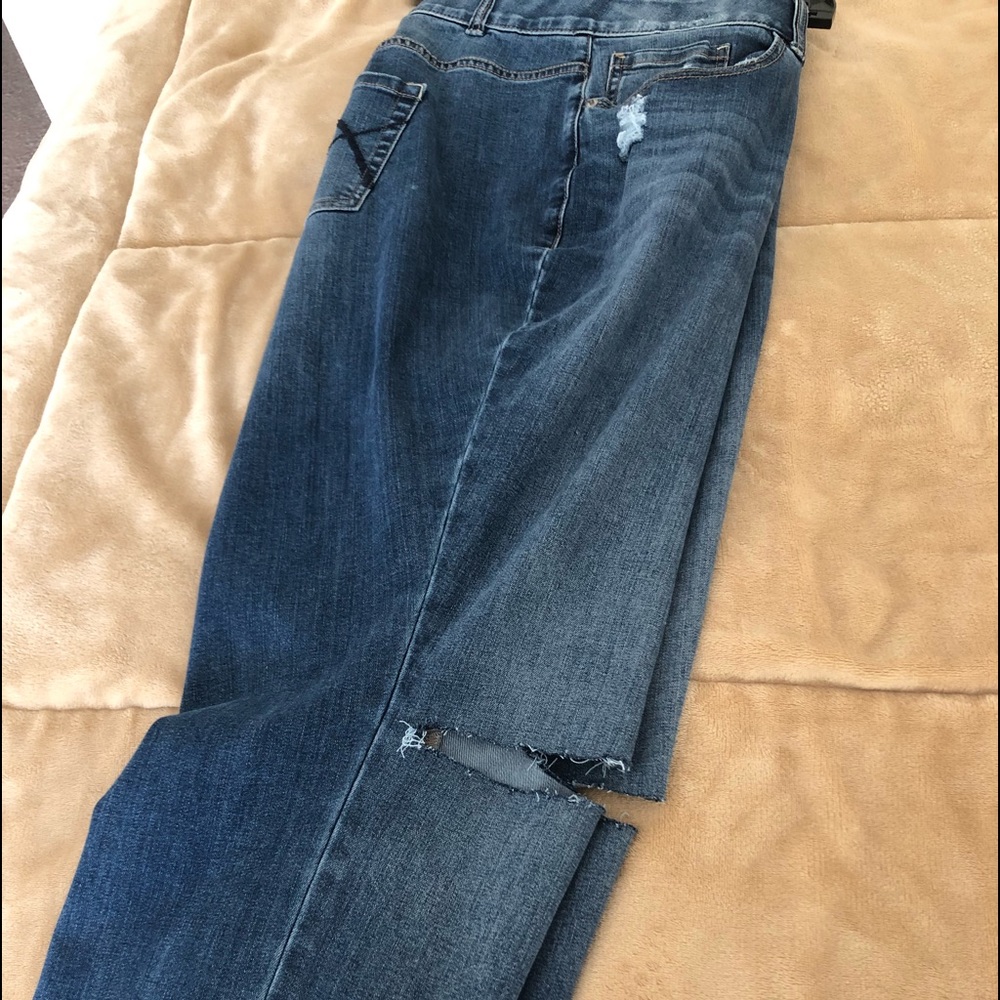 Lane Bryant Skinny Jean